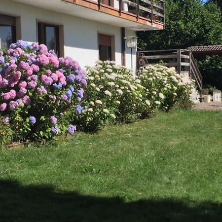 Villa Immersa Nel Verde A Lanzo dʼIntelvi Exterior foto